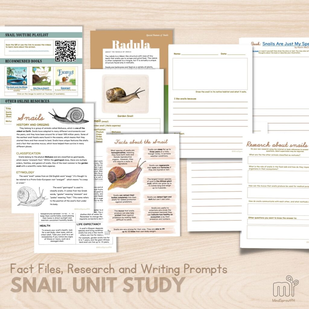Snail Unit Study Fact File Research Prompts for Lower Elementary Homeschool Activities