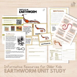 Facts about Earthworm Unit Study for lower Elementary Activity Homeschool Printable Parts of the Earthworm Life Cycle