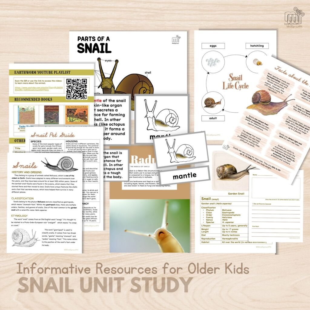 Snail Unit Study for Elementary Homeschool Activities Mollusks Printables for Lower Elementary