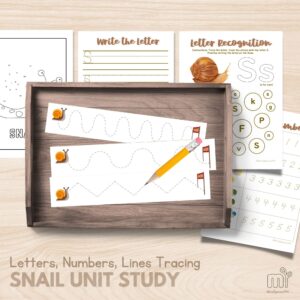 Snail Tracing Practice Letter Recognition Preschool Activities Mollusk Unit Study Preschool Activities
