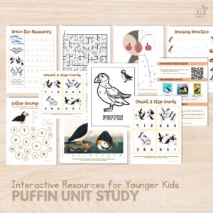 Puffin Unit Study for Preschool Kindergarten Activities