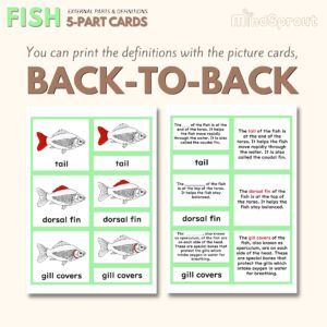 montessori zoology parts of the fish anatomy 5 part cards