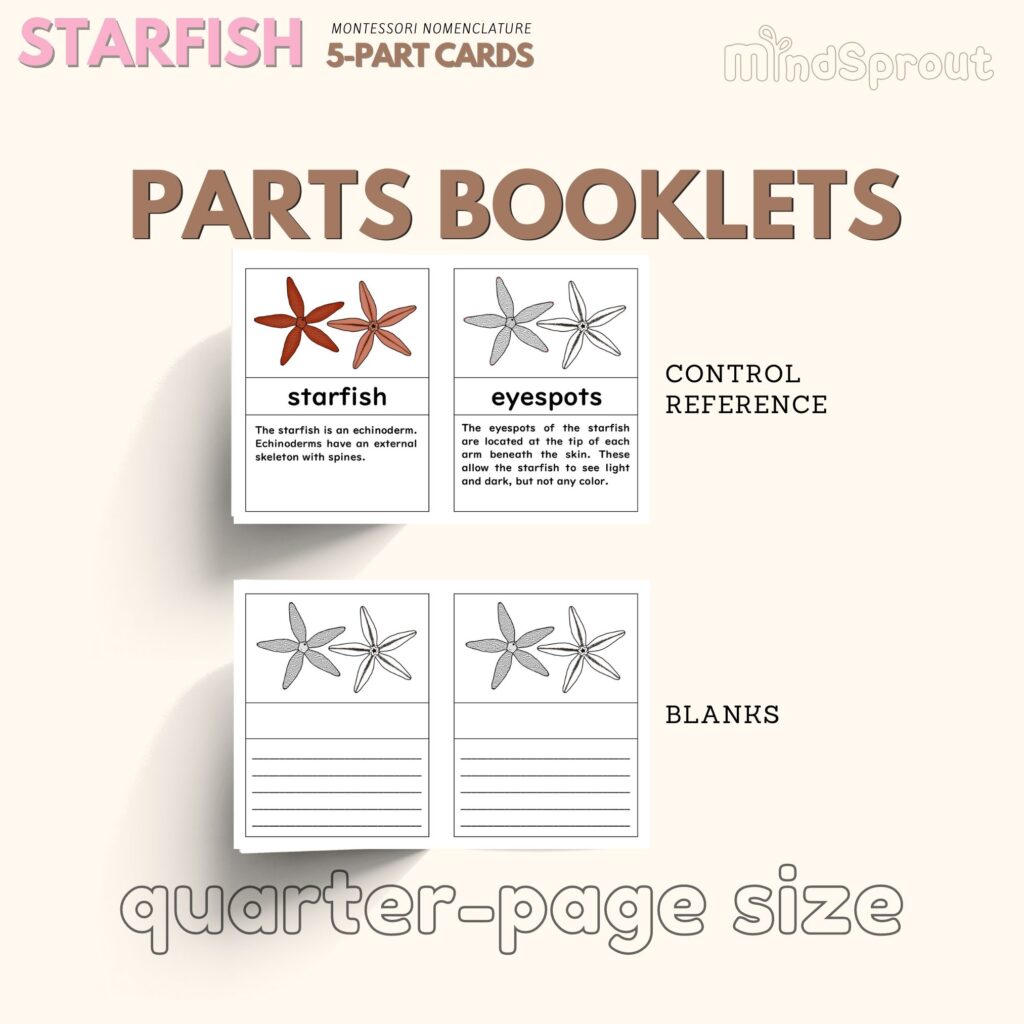 starfish montessori zoology invertebrates starfish 5 part cards anatomy