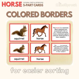 parts of the horse montessori zoology mammals anatomy 5 part cards