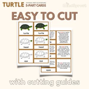 Parts of the turtle montessori zoology turtle anatomy tortoise 5 part cards