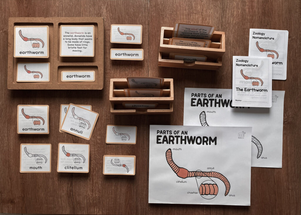 montessori zoology parts of the earthworm anatomy 5 part cards earthworm booklet