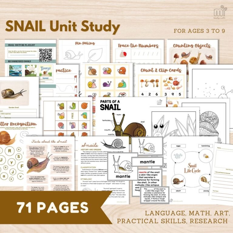 Snail Unit Study for Preschoolers Homeschool Activities for Elementary Montessori