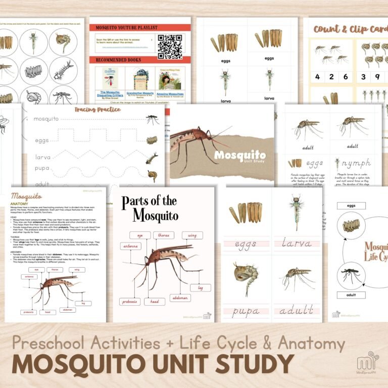 Mosquito Unit Study for Homeschool activities for Preschool Life Cycle of Mosquitoes Anatomy Parts of Mosquitoes