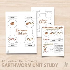 Simple Earthworm Unit Study for 3-9 Years Old - MindSprout