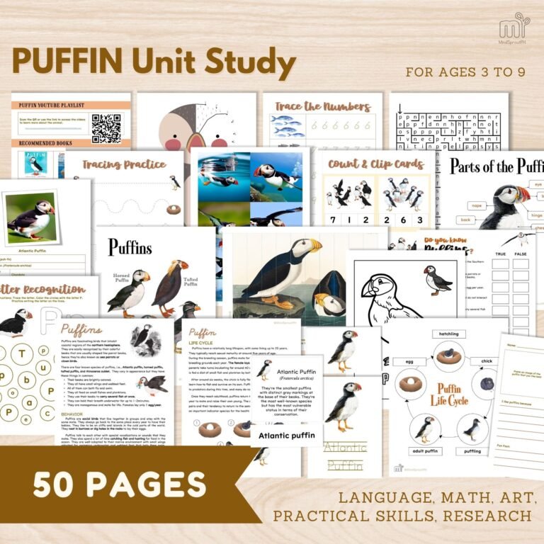 Puffin Unit Study for Preschool Kindergarten Arctic Animal Homeschool Activities for lower Elementary