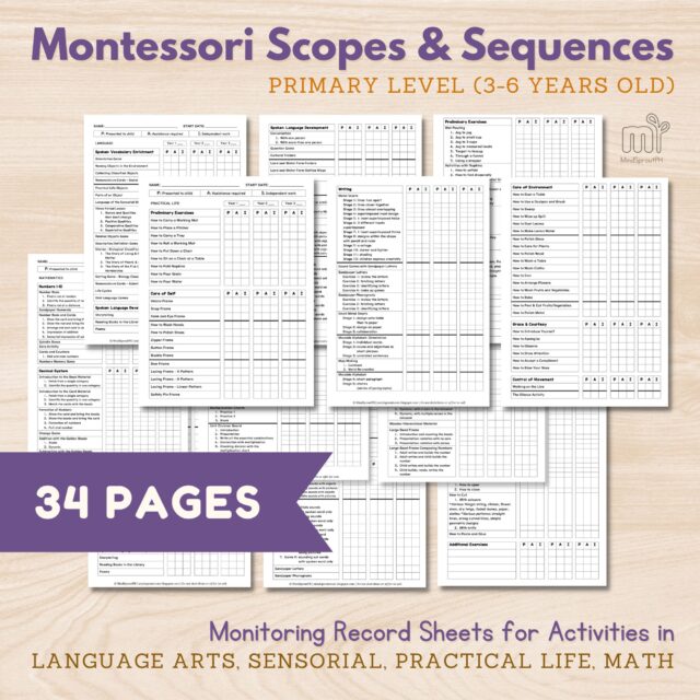 Best Tools to Win at Montessori Record-Keeping - MindSprout