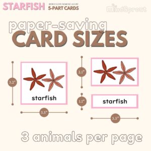 montessori zoology invertebrates parts of the starfish anatomy 5 part cards mindsprout