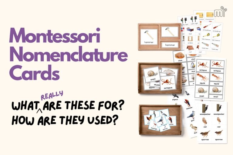 nomenclature cards montessori classified cards montessori 3 part cards mindsprout