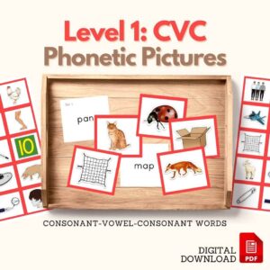 phonetic cvc word picture cards stage 1