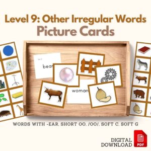 Other Irregular Words picture cards stage 9